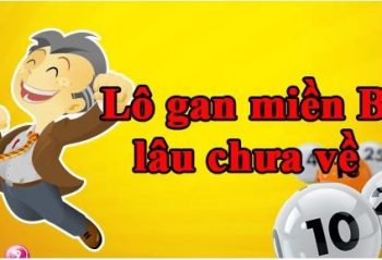 Lo gan la gi hinh anh 1